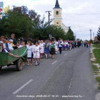 szüret