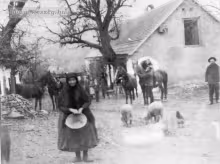 keszegi gazda
